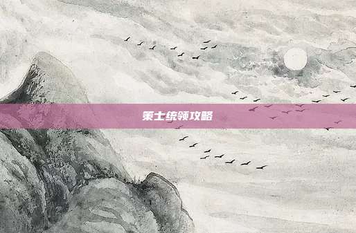 策士统领攻略