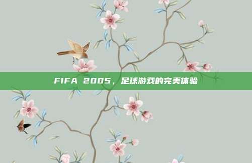 FIFA 2005，足球游戏的完美体验