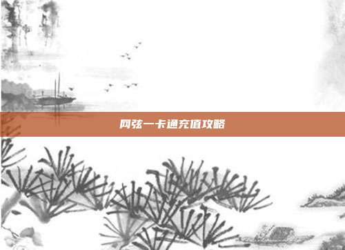网弦一卡通充值攻略