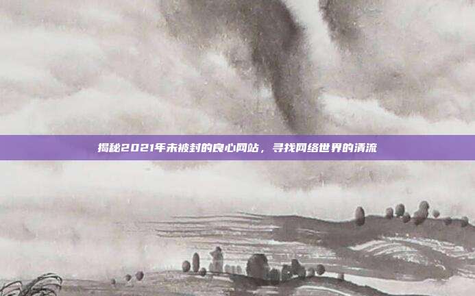 揭秘2021年未被封的良心网站,寻找网络世界的清流