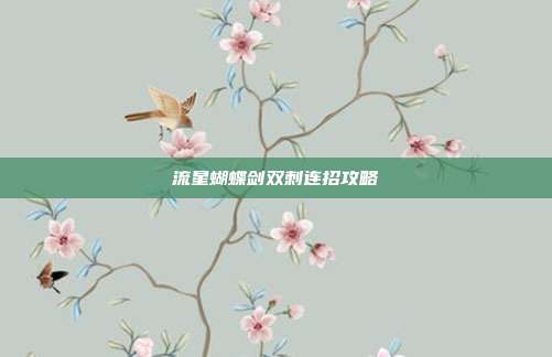 流星蝴蝶剑双刺连招攻略