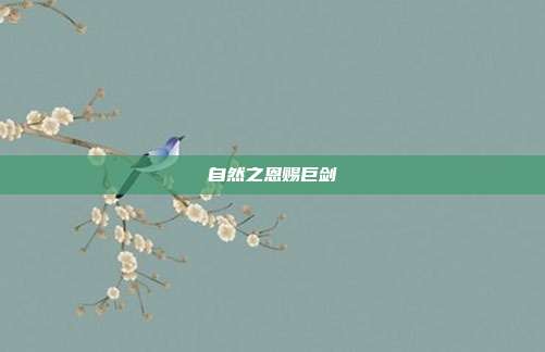 自然之恩赐巨剑