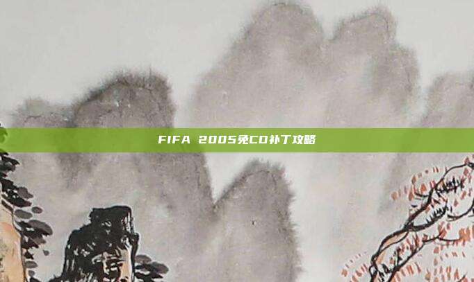 FIFA 2005免CD补丁攻略