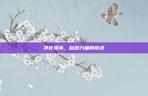 净化潭水,自然力量的奇迹