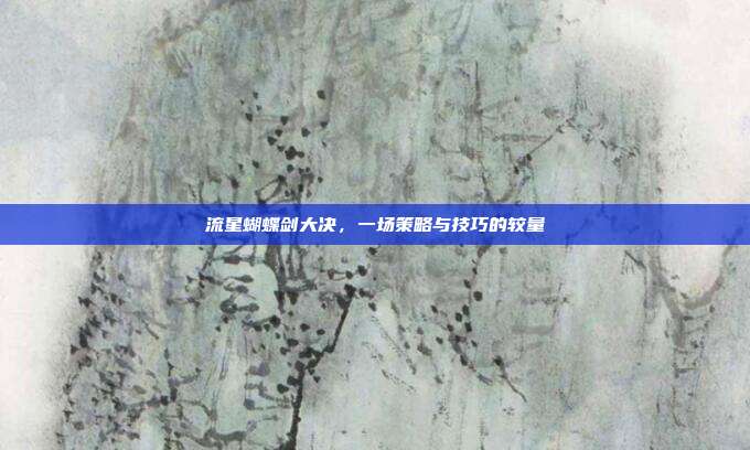 流星蝴蝶剑大决,一场策略与技巧的较量