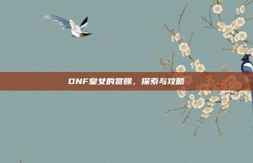 DNF皇女的赏赐,探索与攻略