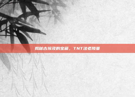 揭秘古埃及的宝藏，TNT法老陵墓