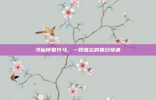 寻仙仲夏竹马,一段难忘的夏日奇遇