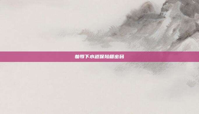 羞辱下水道保险箱密码