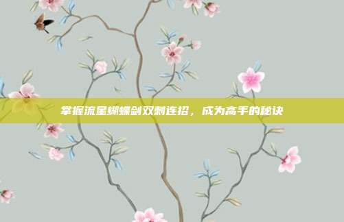 掌握流星蝴蝶剑双刺连招,成为高手的秘诀