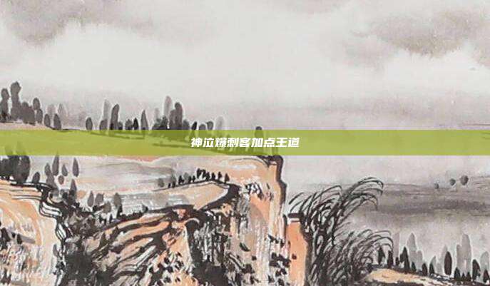 神泣爆刺客加点王道