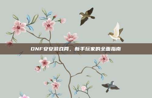 DNF安安游戏网，新手玩家的全面指南