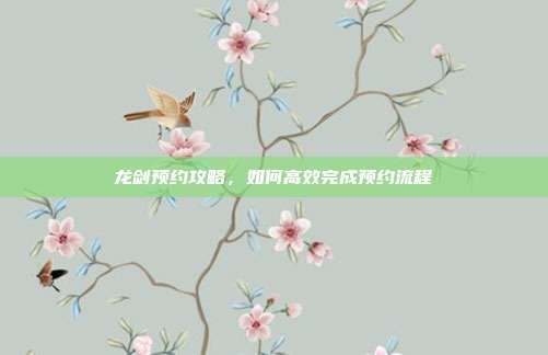 龙剑预约攻略,如何高效完成预约流程