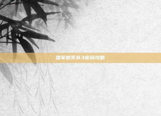 盟军敢死队3密码攻略