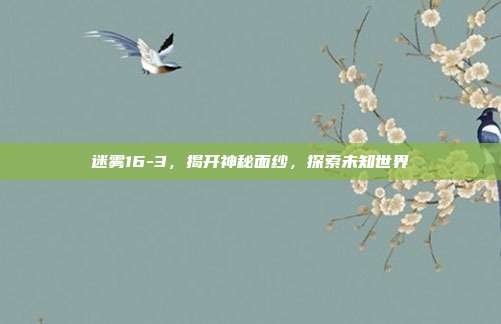 迷雾16-3,揭开神秘面纱,探索未知世界