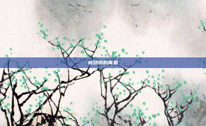 被烧毁的青春