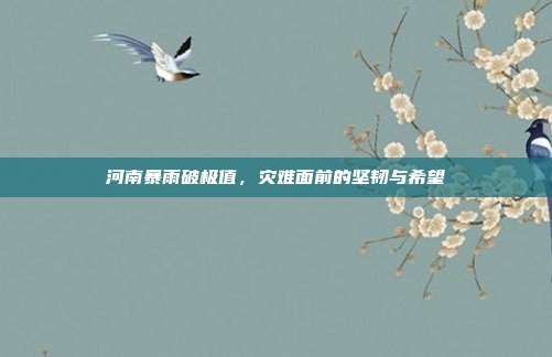河南暴雨破极值,灾难面前的坚韧与希望