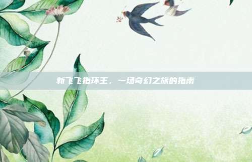 新飞飞指环王,一场奇幻之旅的指南