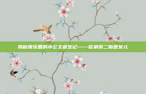 揭秘娱乐圈的小公主诞生记——欧弟曝二胎是女儿