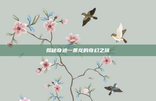 揭秘奇迹一条龙的奇幻之旅