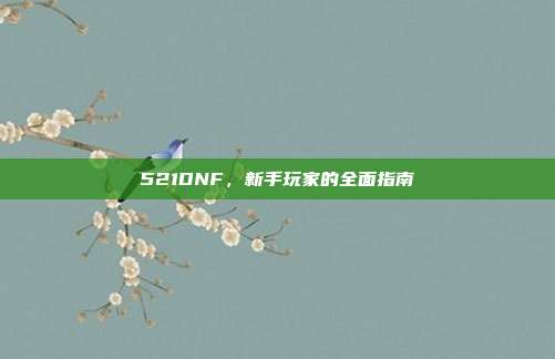 521DNF,新手玩家的全面指南
