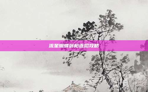 流星蝴蝶剑枪连招攻略
