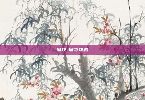 围攻砮皂寺攻略