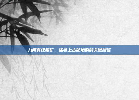 九阴真经银矿,探寻上古秘境的的关键路径