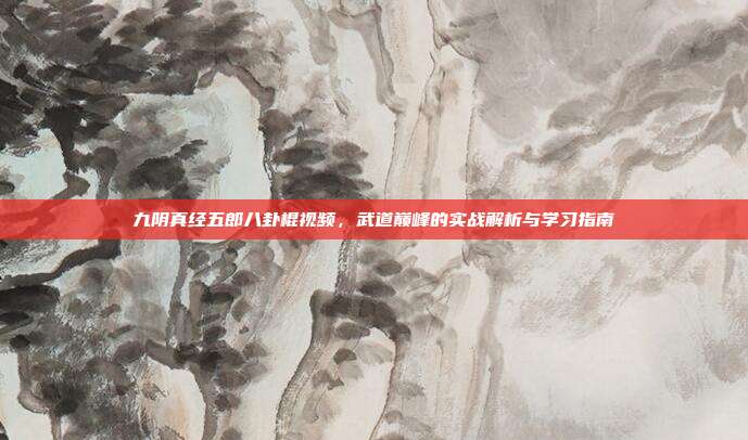 九阴真经五郎八卦棍视频,武道巅峰的实战解析与学习指南