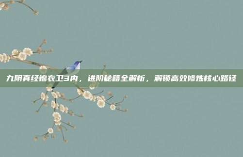 九阴真经锦衣卫3内,进阶秘籍全解析,解锁高效修炼核心路径