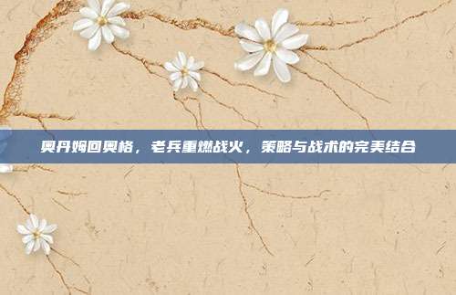 奥丹姆回奥格,老兵重燃战火,策略与战术的完美结合