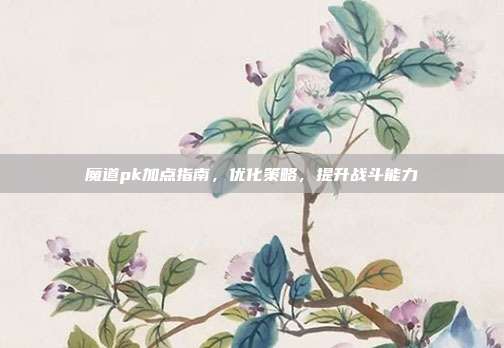 魔道pk加点指南,优化策略,提升战斗能力