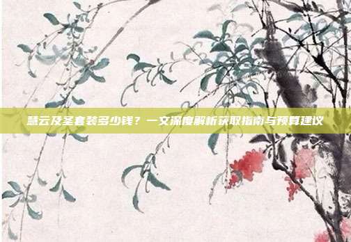 慧云及圣套装多少钱？一文深度解析获取指南与预算建议