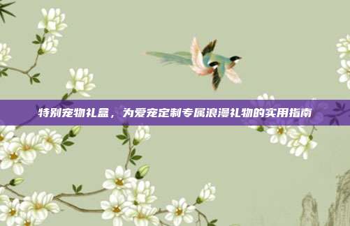 特别宠物礼盒，为爱宠定制专属浪漫礼物的实用指南