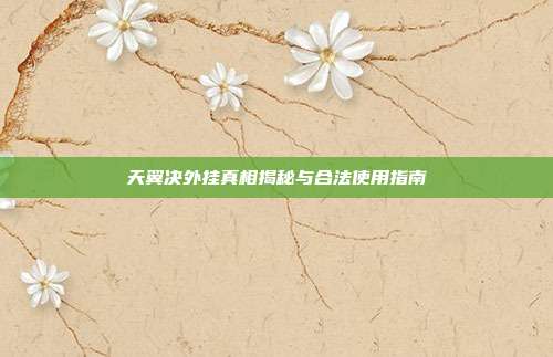 天翼决外挂真相揭秘与合法使用指南