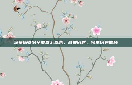 流星蝴蝶剑全屏攻击攻略,尽显剑意,畅享剑道巅峰