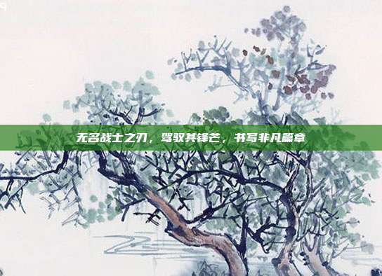 无名战士之刃,驾驭其锋芒,书写非凡篇章