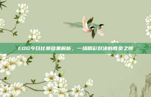 EDG今日比赛结果解析,一场精彩对决的胜负之辨
