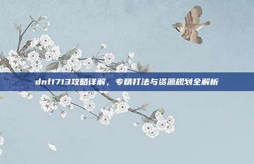dnf1713攻略详解,专精打法与资源规划全解析