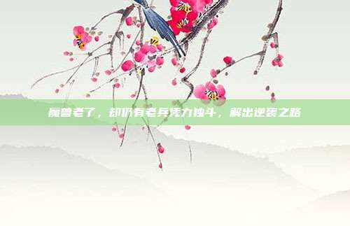 魔兽老了,却仍有老兵凭力独斗,解出逆袭之路