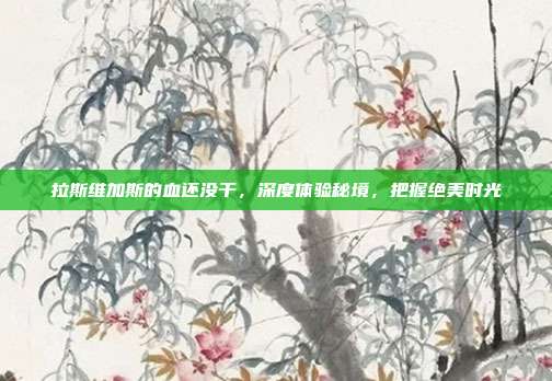 拉斯维加斯的血还没干,深度体验秘境,把握绝美时光