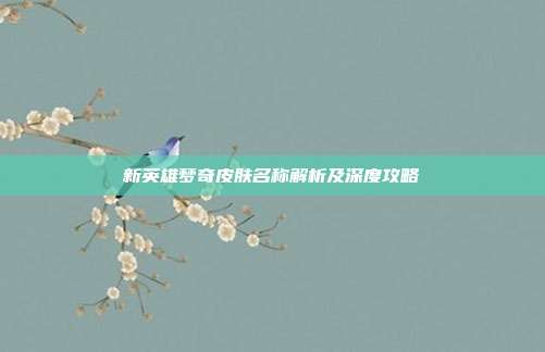 新英雄梦奇皮肤名称解析及深度攻略