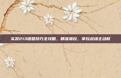 实况213键盘技巧全攻略,精准操控,掌控战场主动权