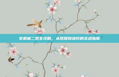 女机械二觉全攻略,从觉醒到进阶的实战指南