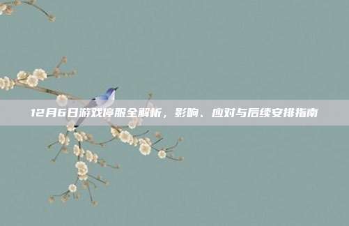 12月6日游戏停服全解析,影响、应对与后续安排指南