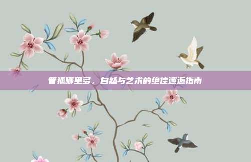 管狐哪里多,自然与艺术的绝佳邂逅指南