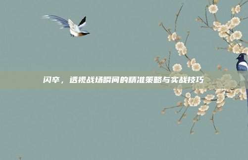 闪卒,透视战场瞬间的精准策略与实战技巧
