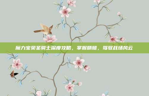 魔力宝贝圣骑士深度攻略,掌握精髓,驾驭战场风云