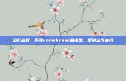暗影崩解,探寻roombreak金钥匙,解锁空间密境