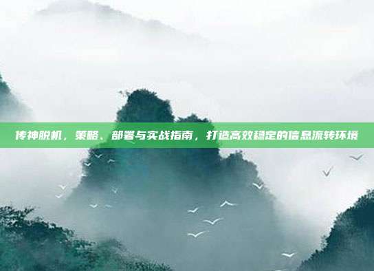 传神脱机,策略、部署与实战指南,打造高效稳定的信息流转环境